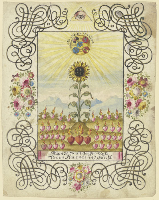 Sonnenblume mit Goldaufschrift à Johannes Esaias Nilson
