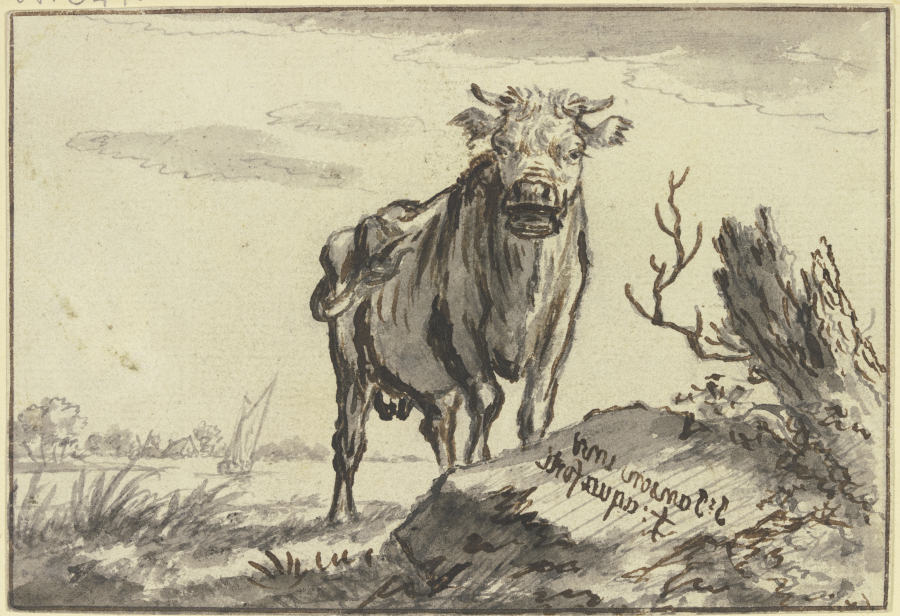 Ein Stier von vorne gesehen bei einem Baumstamm à Johannes Janson