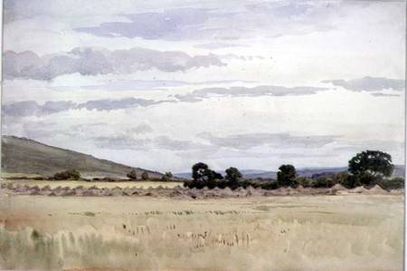 Landscape with cornfield à John Absolon