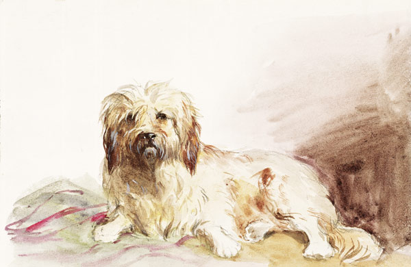 The Artist's Dog à John Adam P. Houston