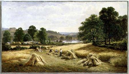 Gathering the Golden Grain near Bishopsteignton, Plymouth à John Barrett