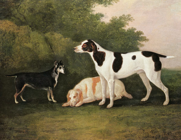 Three Dogs in a Landscape à John Boultbee
