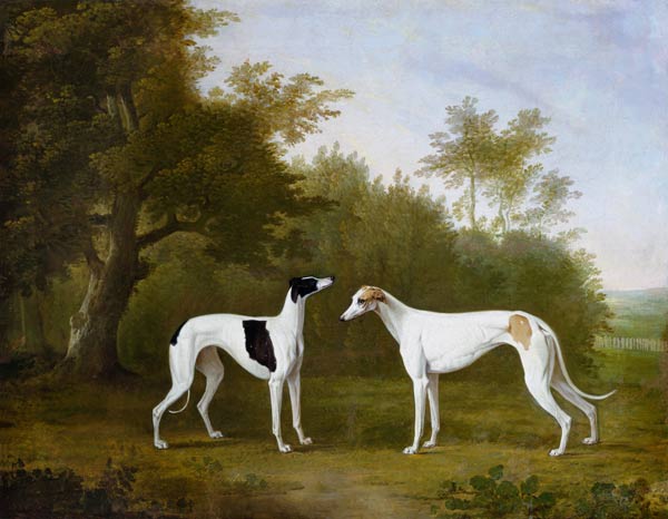 deux Greyhounds paysage waldiger. à John Boultbee