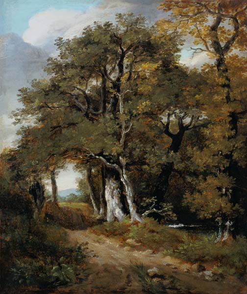 J.Constable, A Woodland Scene, c.1801. à John Constable