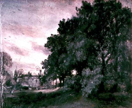 Study of Trees à John Constable