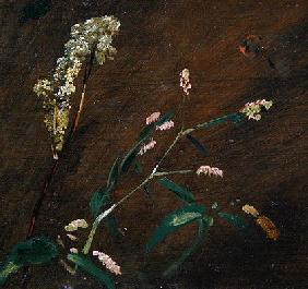 Flower Studies: Persicaria and Meadowsweet (oil on canvas laid on panel)