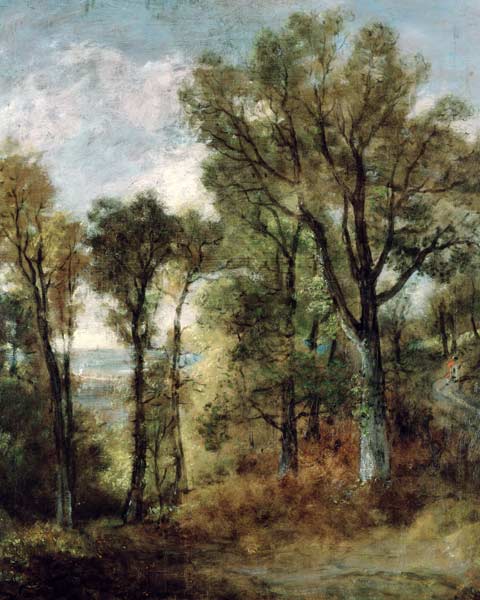 Woodland View in Suffolk à John Constable
