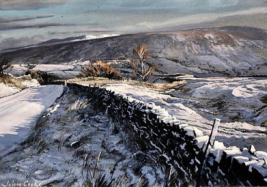 Winter Morning Above Dentdale, Cumbria à John  Cooke