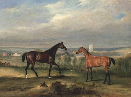 Count Bathyany's Favourite Hunters at Melton Mowbray à John E. Ferneley le Jeune