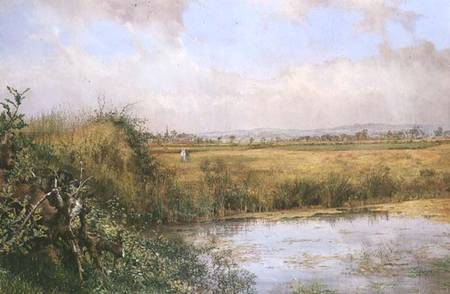 A View near Sefton, Lancashire à John Edward Newton