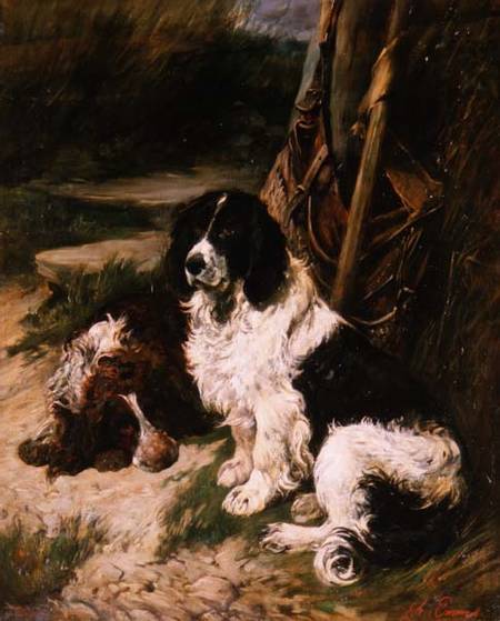 Brown and White and Black and White Spaniel à John Emms