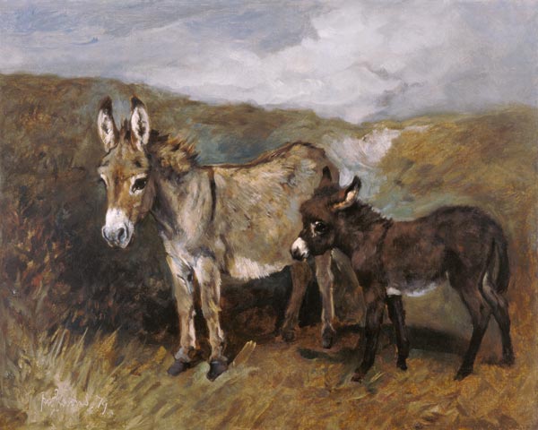 Donkeys out on the Moor à John Emms