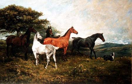 Mares and Foal with a Sheepdog à John Emms