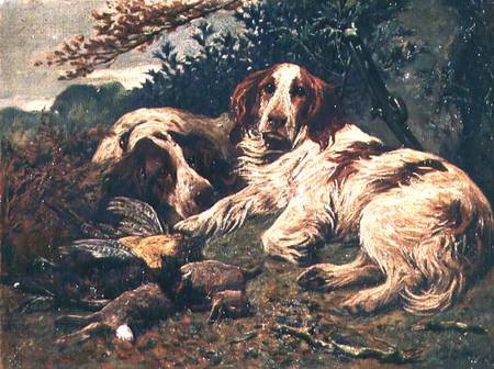 A Pair of Liver and White Clumber Spaniels by the Day's Bag à John Emms
