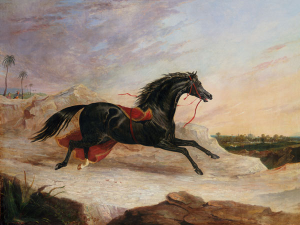 Arabs Chasing A Loose Arab Horse In An Eastern Landscape à John Frederick Herring l'Ancien