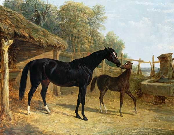 Levity, the property of J.C.Cockerill Esq., with her foal Queen Elizabeth, the property of Lord Dorc à John Frederick Herring l'Ancien