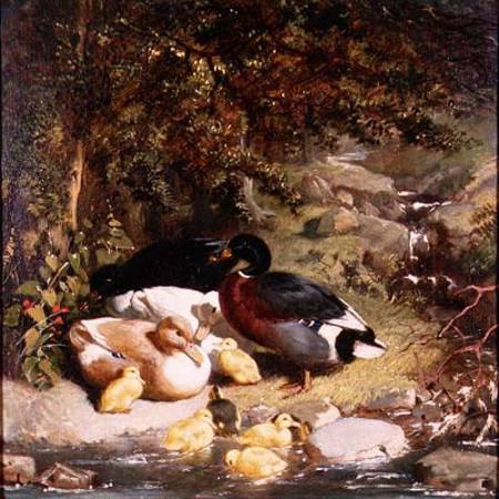 Ducks and Ducklings à John Frederick Herring l'Ancien