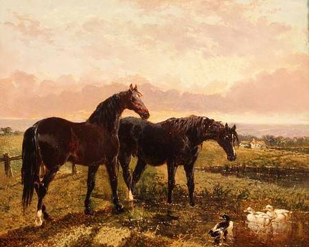 Two horses grazing at sunset à John Frederick Herring l'Ancien