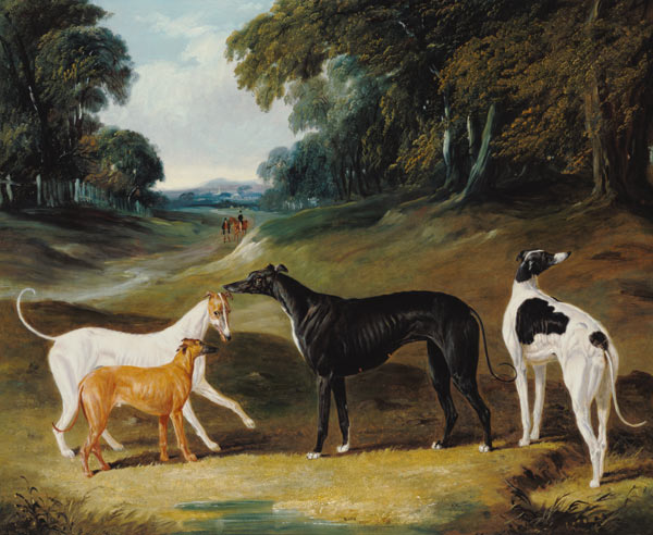 Greyhounds, 'Spot', 'Skylark', 'Nettle' and 'Sky' à John Frederick Herring l'Ancien