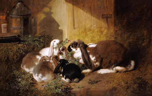 famille de lapins à John Frederick Herring l'Ancien