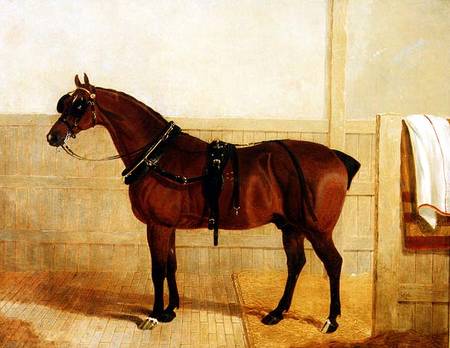 Prize Shire Horse in Harness à John Frederick Herring l'Ancien
