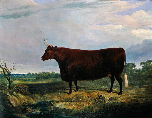 Portrait of a Brown Bull, 1831 (oil on canvas) à John Frederick Herring Snr