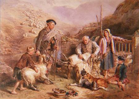 Sheep Shearing à John Frederick Tayler