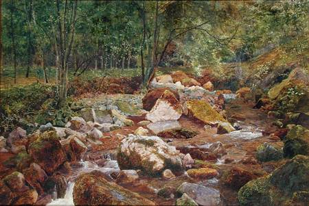 A Rocky Stream Overhung with Trees (w/c and bodycolour with gum arabic on paper) à John George Sowerby