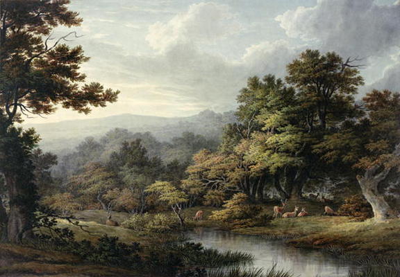 Forest Glade with Pool and Deer (w/c on paper) à John Glover