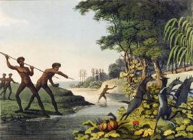 Hunting the Kangaroo, aborigines in New South Wales engraved by Matthew Dubourg (fl.1813-1820) 1813