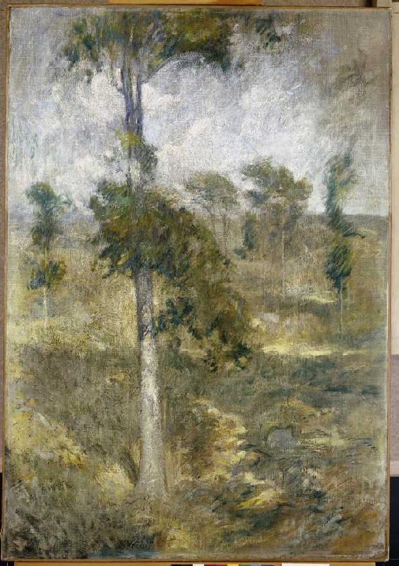 Tulpenbaum, Greenwich. à John Henry Twachtman