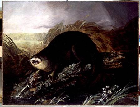 Otter Caught in a Trap à John James Audubon