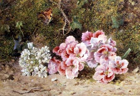 Butterfly and Flowers à John Jessop Hardwick