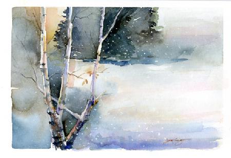 Birch in Winter