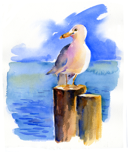 Seagull on dock à John Keeling