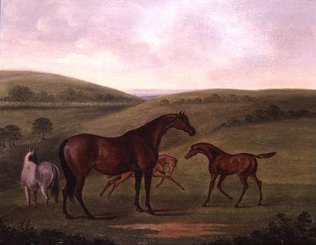Mare with Foals in a Landscape à John Nost Sartorius