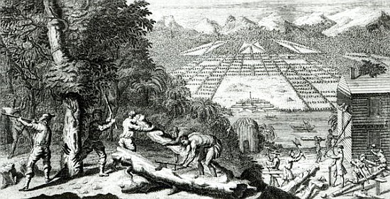 Illustration from ''The Reasons for establishing the Colony of Georgia'' Benjamin Martyn (1699-1763) à John Pine