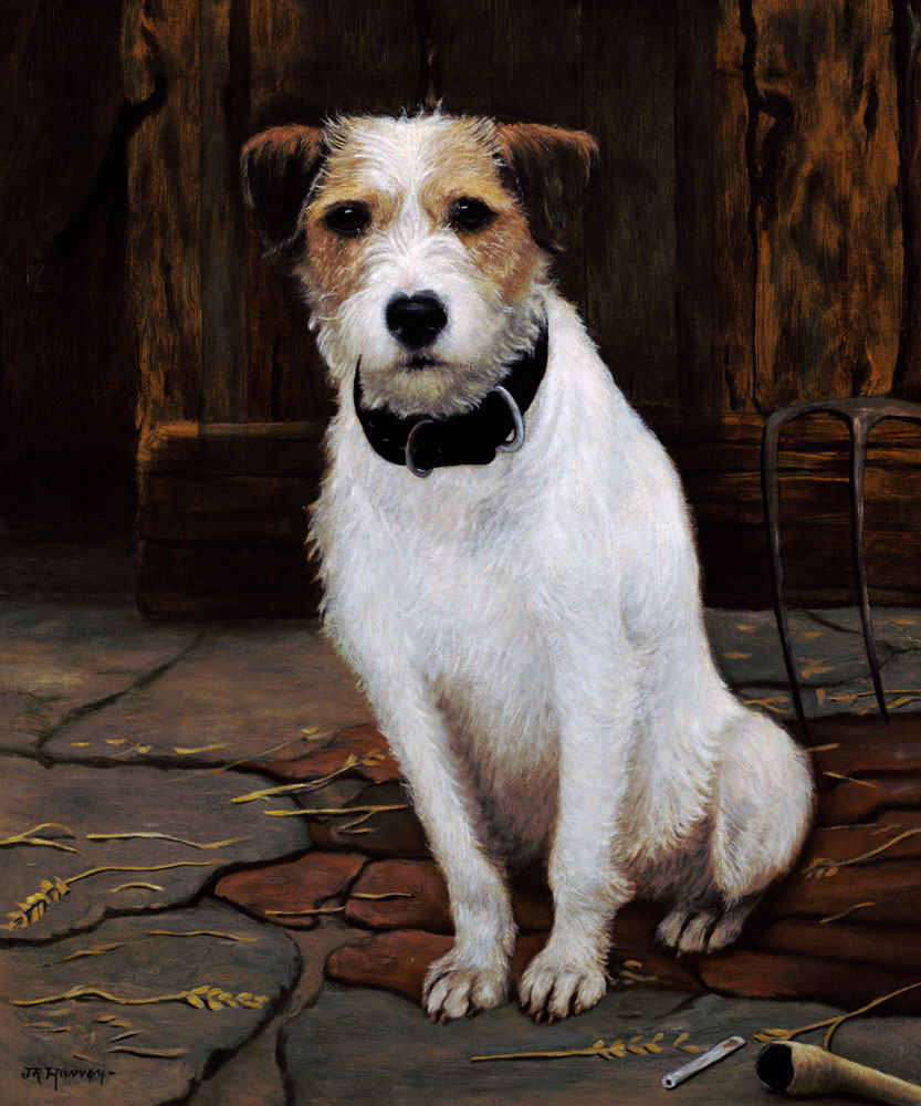 Portrait of Terrier à John Rabone Harvey