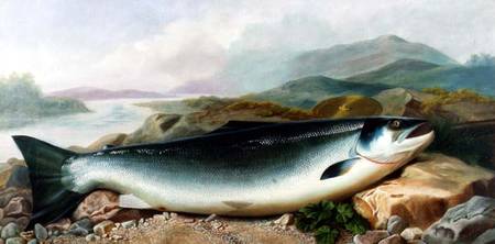 Still Life of a Salmon on a Riverbank in a Mountainous Landscape à John Russell