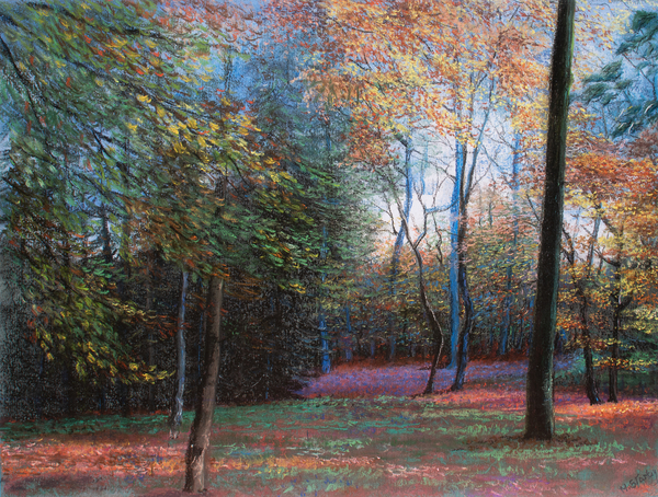 Autumn in the Woods à Margo Starkey