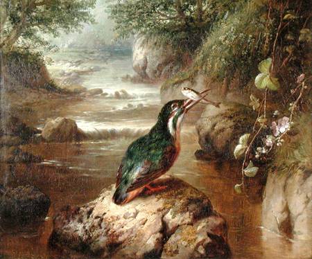 The Haunt of the Kingfisher à John Wainwright