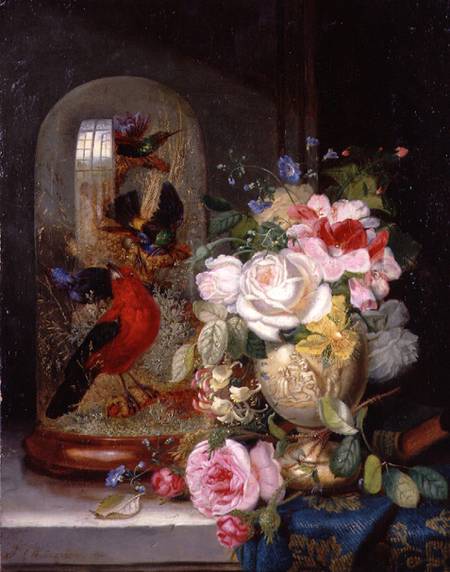 A Still Life with Roses in a Vase beside Exotic Birds in a Glass Case à John Wainwright