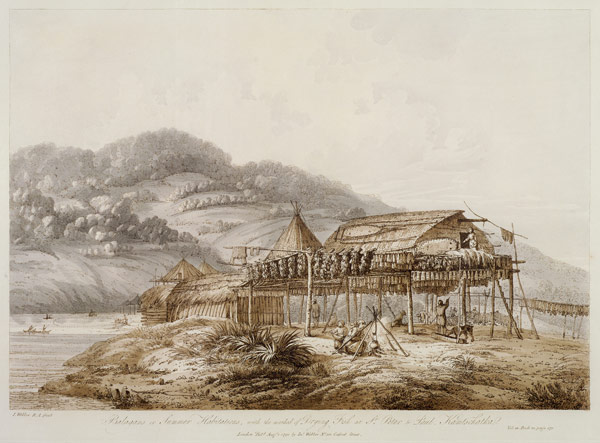 Balagans or Summer Habitations, with the Method of Drying Fish at St. Peter and Paul, Kamtschatka, f à John Webber