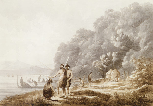 View in Queen Charlotte's Sound, New Zealand, from 'Views in the South Seas', pub. 1790 (etching) à John Webber