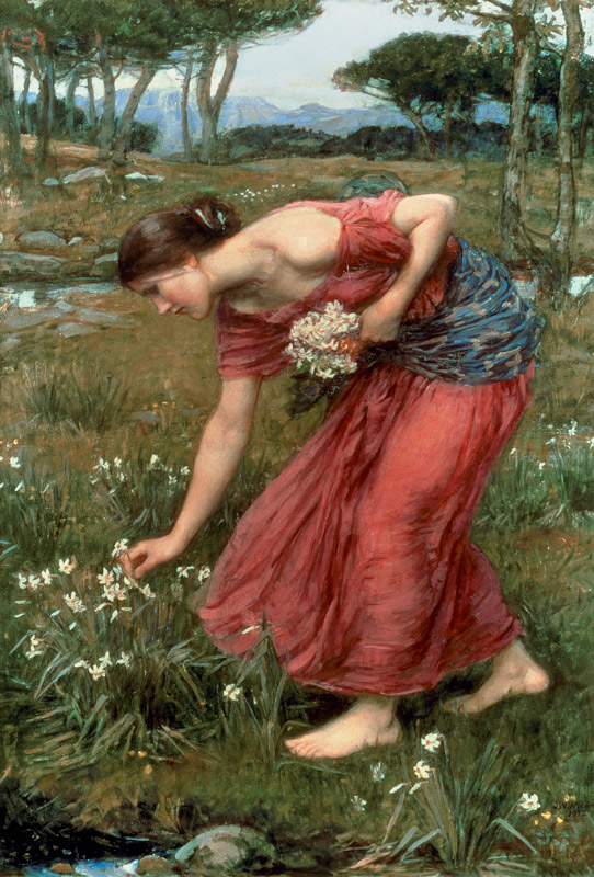 Narcissus à John William Waterhouse