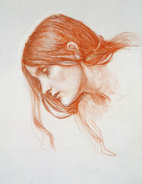 Study of a Girl's Head à John William Waterhouse