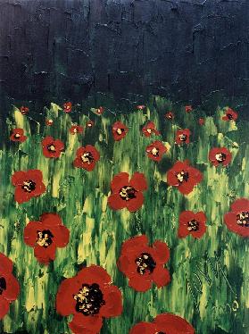 Pré de coquelicot l'