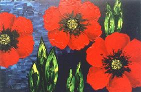 Le coquelicot rouge