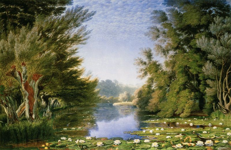 Water Lillies on the Cherwell à William Turner