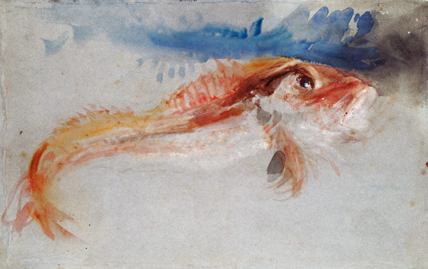 A Gurnard à William Turner